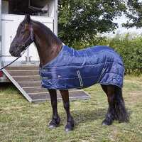 Read Discount Equestrian UK Ltd Reviews